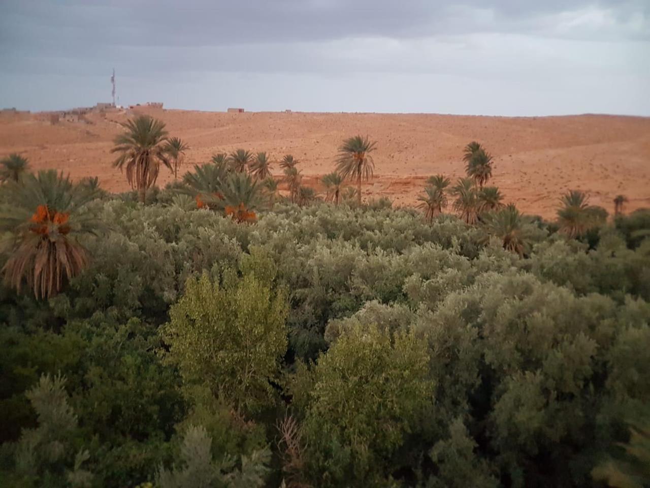 Riad Dar Bab Todra تنغير المظهر الخارجي الصورة